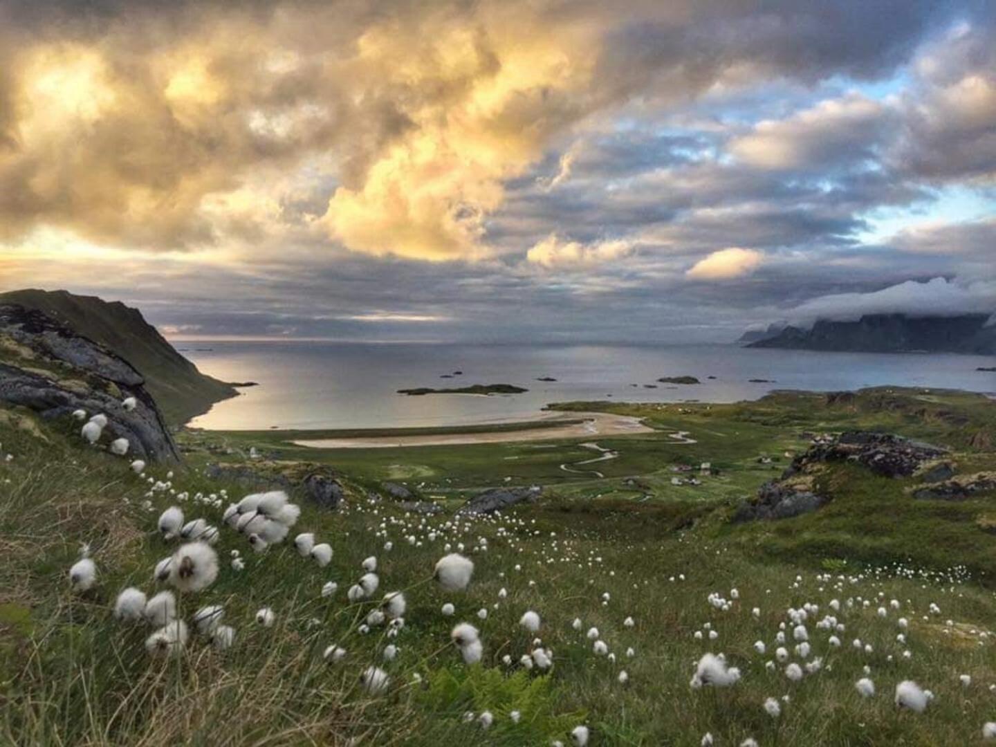 Fredvang Farm House - Lofoten Exterior photo